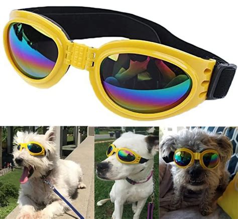 Pet Glasses Dog Sunglasses Dog Glasses Golden Retriever Samoyed