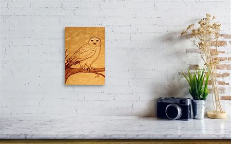 Beautiful White Owl Coffee Painting Acrylic Print By Georgeta Blanaru