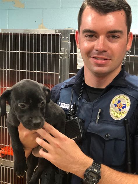 Nacogdoches Police Depts Pet Of The Week Is Back Meet Martha