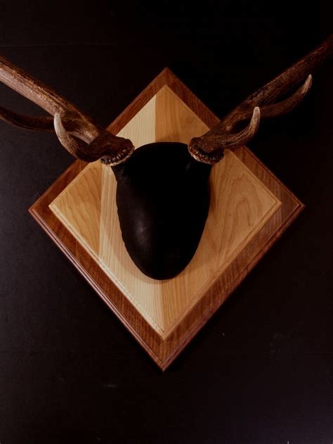 Great for making faux taxidermy. Antler Mount Kit- Overlay Elk | Antler mount, Antlers, Elk