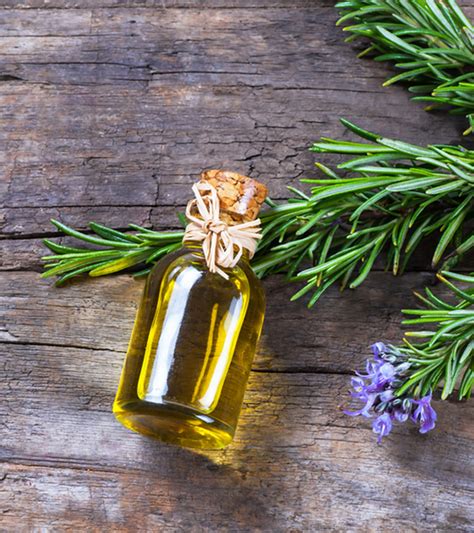 Rosemary Oil For Hair Growth How To Use It And Side Effects