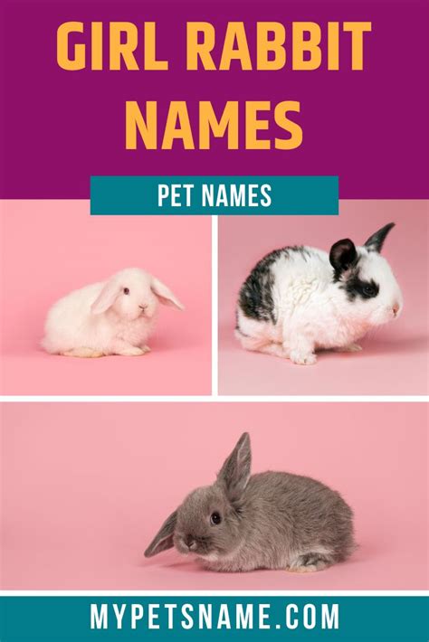 Cute Rabbit Names Female