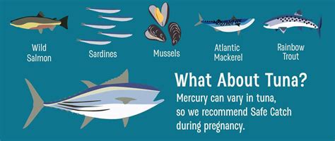 Eating Seafood During Pregnancy