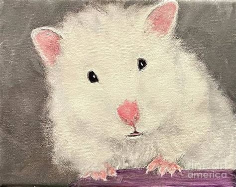 Hamsters Paintings For Sale Fine Art America