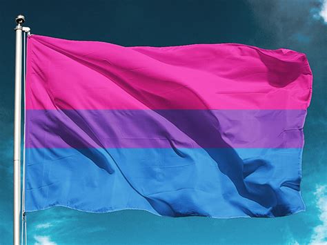 bandera bisexual grande compra online en tienda del orgullo lgbt