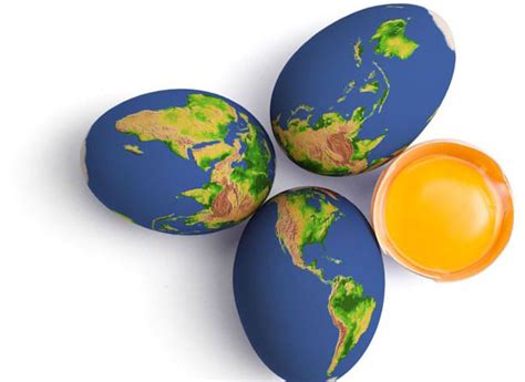 World Egg Day Will Be Celebrated On 9th October 2020 Pakistan