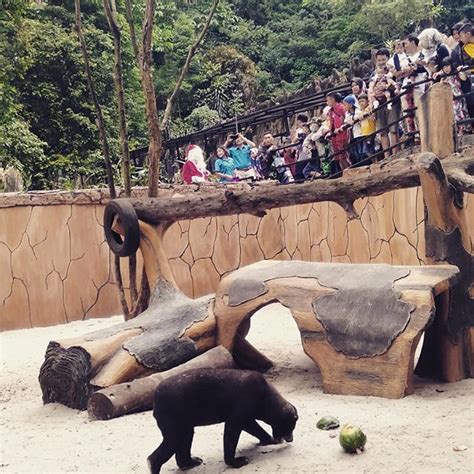 Kebun Binatang Bandung Di Bandung