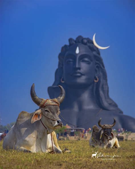 Nandi Is The Gate Guardian Deity Of Kailasa The Abode Of Lord Shiva