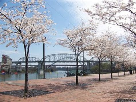 Finance, insurance, real estate, rental & leasing. Nashville Tennessee Real Estate - YouTube