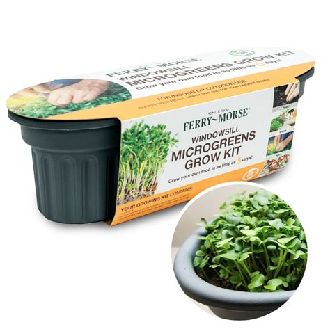Windowsill Microgreens Grow Kit Urban Roots