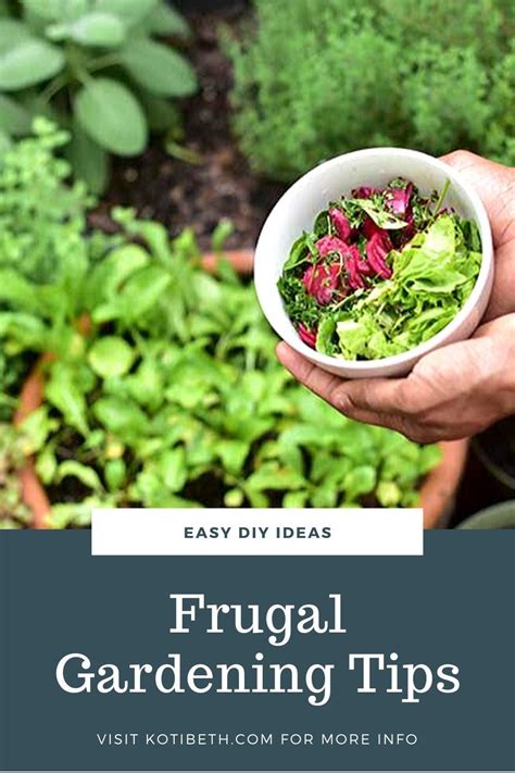 Frugal Gardening Tips And Tricks Gartentipps Vegetarisch Gemüsebeet