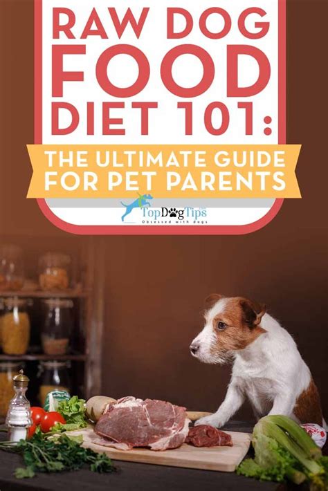 Diet so that is 75% meat, bone, & organ with 25% vegetables &/or fruits from james pendergast, meal formulator at darwin's pet products via steve brown. Raw Diet for Dogs 101: The Ultimate Guide - Top Dog Tips ...