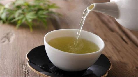Green tea is made from camellia sinensis leaves and buds. drinking green tea on empty stomach is bad for health ...