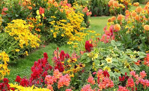 Know About Blooming Seasons Of Popular Flowers Seasonal Flowers