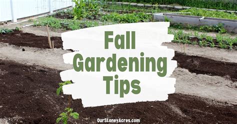 8 Garden Tasks You Should Be Doing This Fall Our Stoney Acres