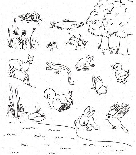 Ovisélet Állatos Feladatlapok Natural Snoopy Embroidery Comics