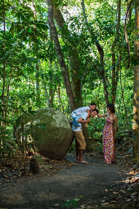 Explore Our Rainforest And Secret Garden Trails At Fitzroy Island