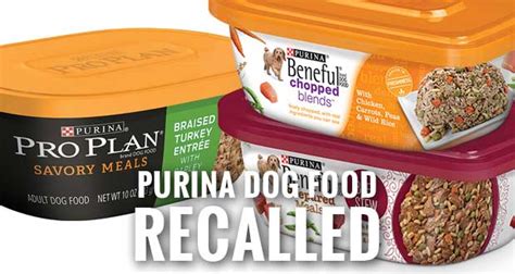 Maybe you would like to learn more about one of these? shore-215.blogspot.com: RECALL ALERT: Variety of Purina ...