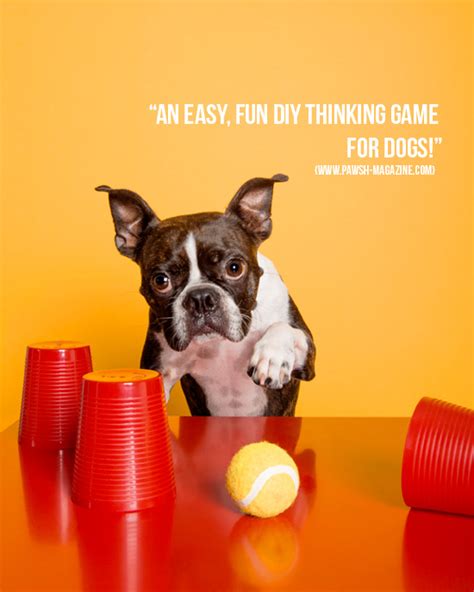 Crie a partir de um modelo. Shell game Quotes. QuotesGram
