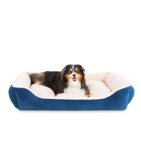 Everyyay Essentials Snooze Fest Blue Rectangle Dog Bed 40 L X 30 W