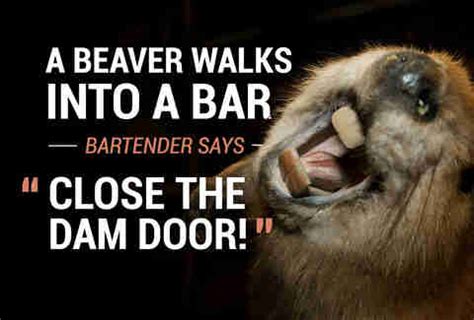 You will get the answers and your score at the end of the quiz. 38 Animal Walks Into A Bar Jokes - Thrillist