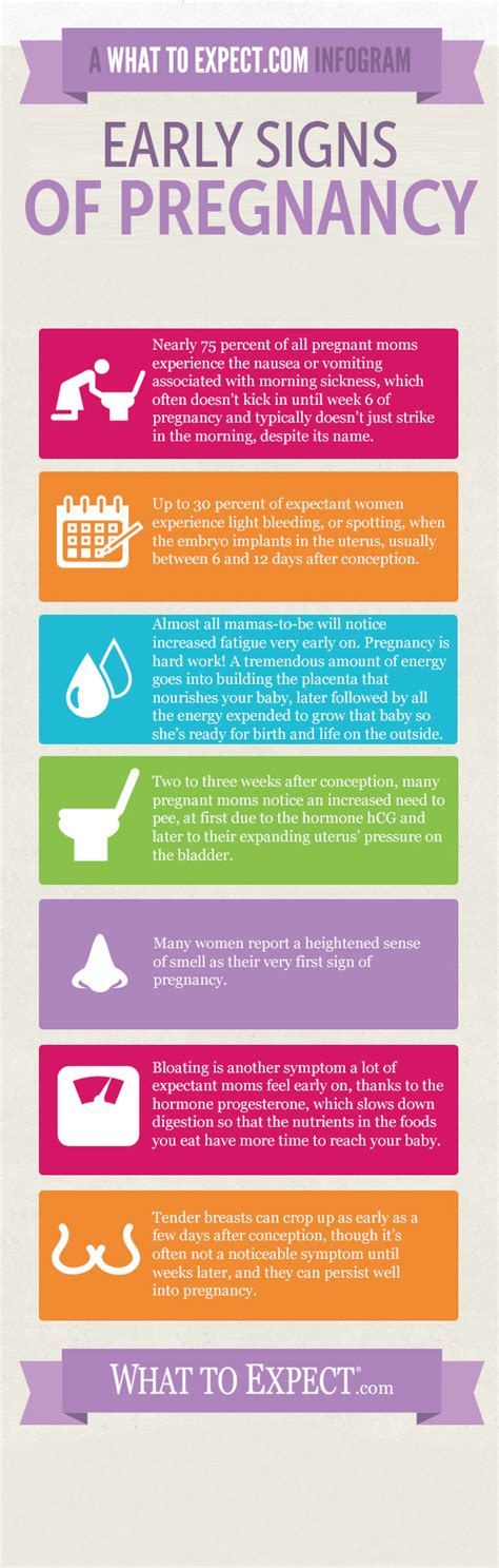 Infographic Early Signs And Symptoms Of Pregnancy What To Expect
