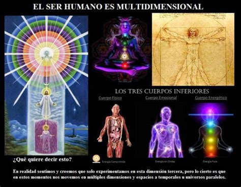 El Ser Humano Es Multidimensional Los Siete Cuerpos Dimensionales Del