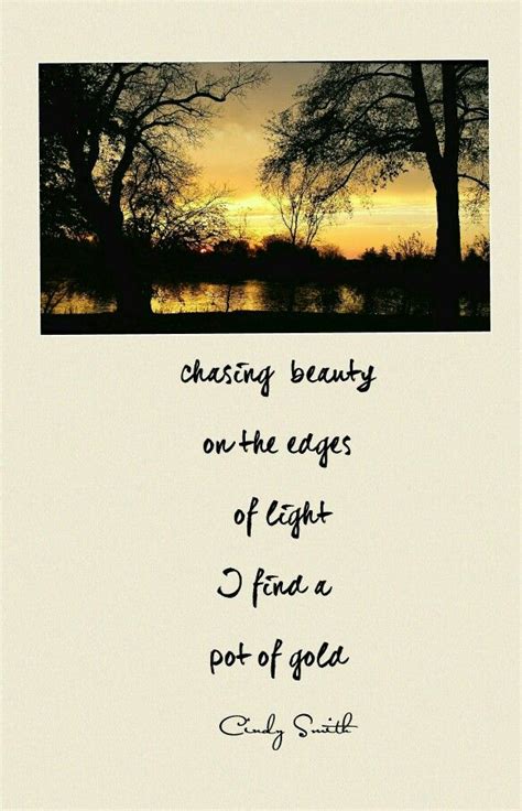 Chasing Beauty Cindy Smith Nature Poem Poem A Day Soul Quotes