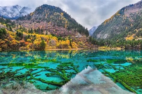 2280 Jiuzhaigou Valley National Park Stock Photos Free And Royalty