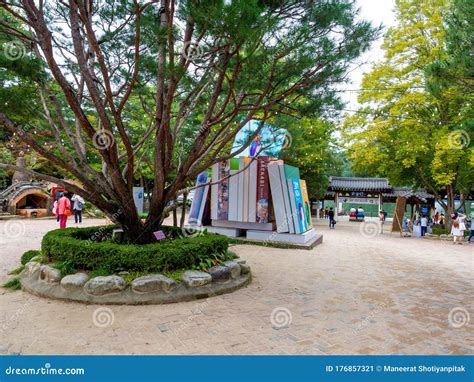 isla de nami sur corea sep 20 2019 gente caminando por el parque arbolado en la isla namiseom
