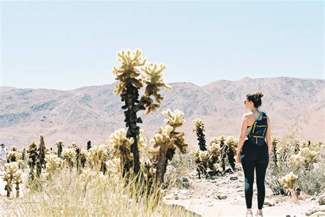 The Joshua Tree Guide Best Places To Hike Play And Stay In Joshua