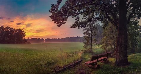 Sky Bench And Trees Wallpaper Hd Nature 4k Wallpapers Images Photos