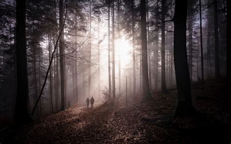 Download Wallpaper 3840x2400 Forest Fog Silhouettes Walk Autumn