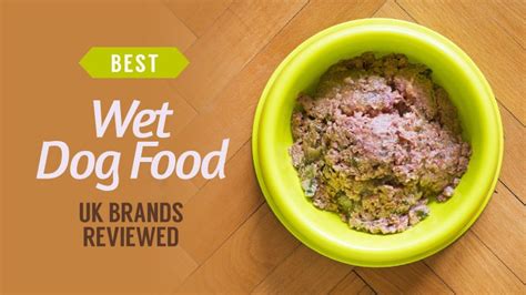 Best Wet Dog Food To Buy 2023 For All Budgets