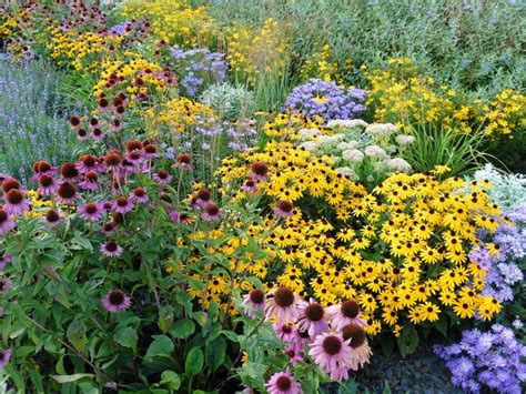 Native Plant Landscaping Northeast Perennials For Sun