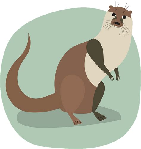 Otter Clipart Free Download Transparent Png Creazilla