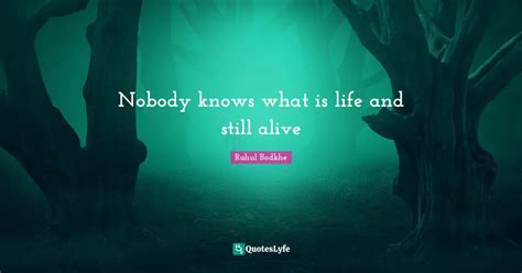 Nobody Knows What Is Life And Still Alive Quote By Rahul Bodkhe