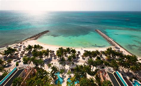 Divi Aruba Phoenix Beach Resort Palm Beach Aruba Resorts