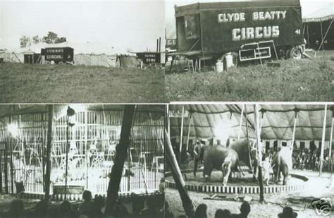 Great Set Of Clyde Beatty Circus Photos 1950s 31375014