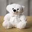 Wholesale Teddy Bears  Winter White Colorama Bear Plush In A Rush
