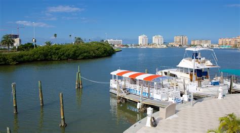 Visit Clearwater Best Of Clearwater Tourism Expedia Travel Guide