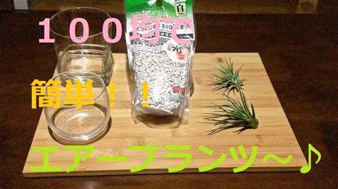 Watch trailers & learn more. 100均で 簡単 エアープランツ～♪ － Airplants（tillandsia） - YouTube