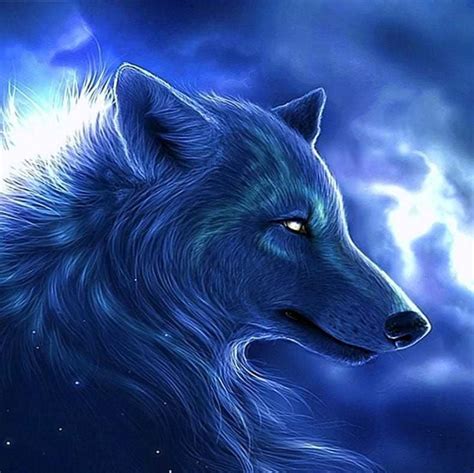 Cool Wolf 1080p Wallpapers Free Download