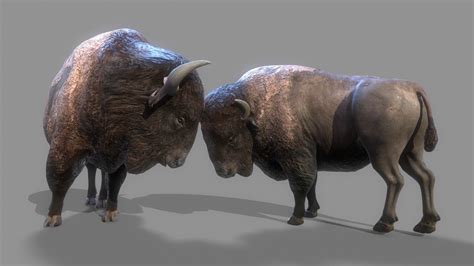 American Steppe Bison Low Poly 3d Model 3d Model Turbosquid 1840713