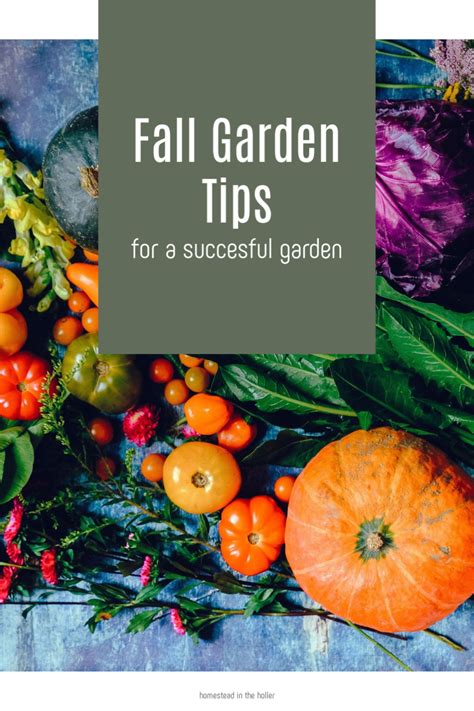 Tips To Help You Have A Successful Fall Garden Diy Apple Cider Fall