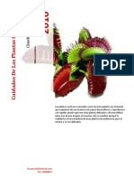 Pdf drive es su motor de búsqueda de archivos pdf. EL GRAN LIBRO DE LAS PLANTAS CARNIVORAS.pdf | Hoja | Insectos