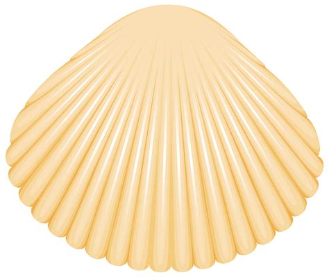 Clam Shell Clipart 20 Free Cliparts Download Images On Clipground 2024