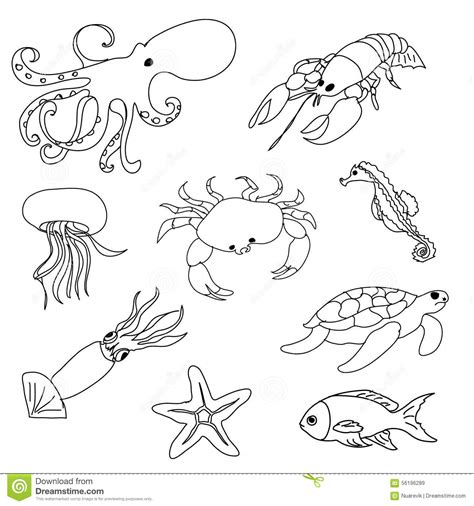 Colorin Pages 101 Ocean Animals Coloring Pages Xl Ocean Coloring