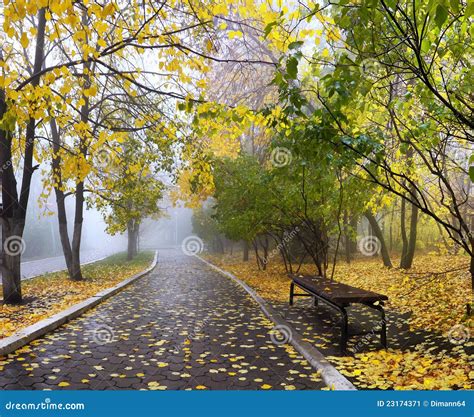 Fog In Autumn Park Stock Image Image Of Cloudy Landscape 23174371