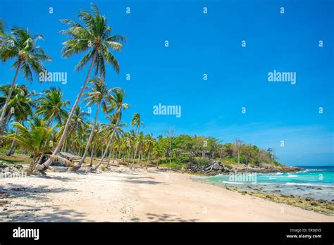 Palm Trees Over Beautiful Tropical White Sand Beach Stock Photo Alamy